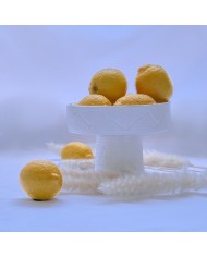 Coupe "La Tatouée" - Blanc